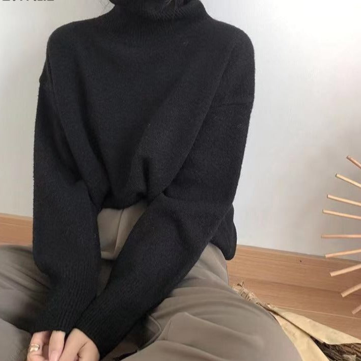 Elegant Turtle Neck Sweater For Women